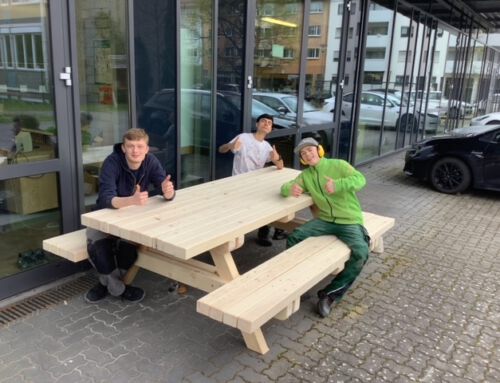 Vom Baum zur Tisch-Bankkombination